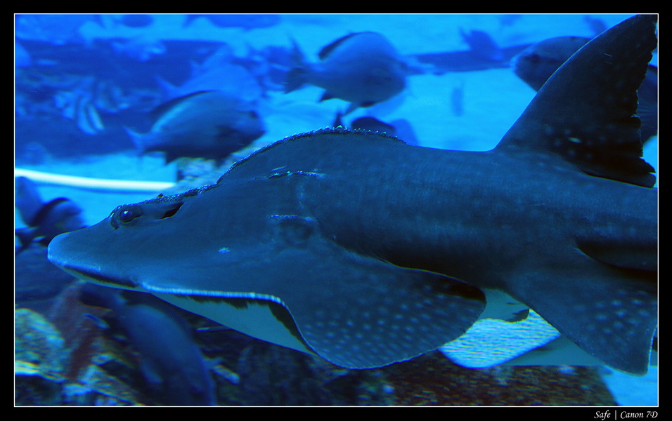 2012 - 06 - Dubai - 037